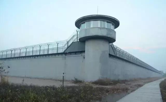 辽宁小伙涉“枪”大案19元一把的枪他买了18把