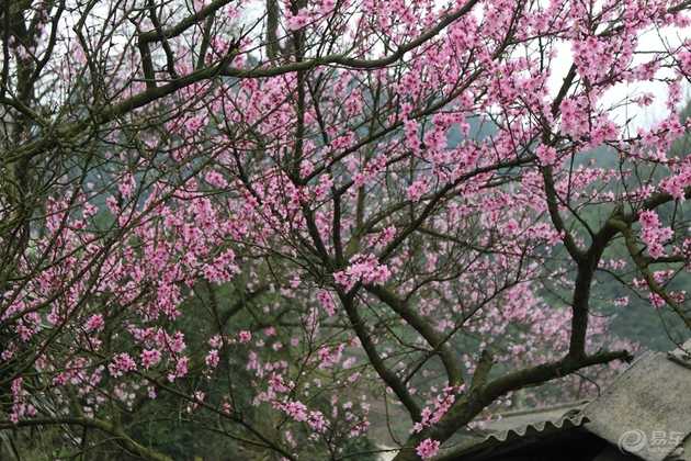 长安悦翔v7大保养流程,悦翔v7保养全过程