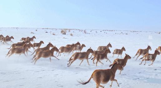 广东小众但绝美的旅游地点,广东风景美的地方在哪里