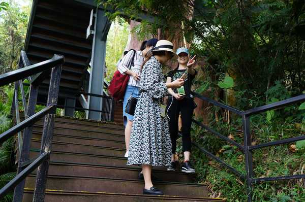 呀诺达热带雨林公园票价,呀诺达热带雨林景区官网
