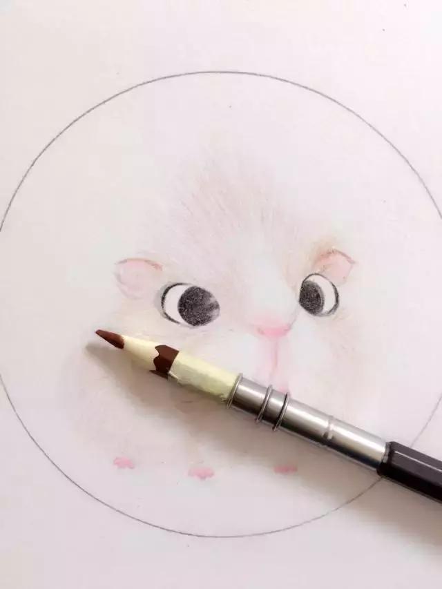 仓鼠手绘,萌萌仓鼠手绘图片