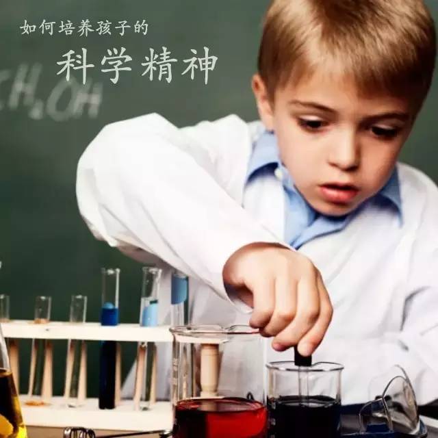 杨老师讲如何培养孩子记忆力,杨老师怎么培养孩子