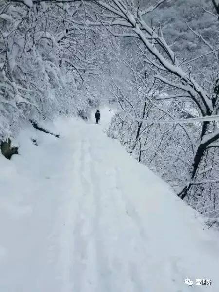 揭秘终南山隐士纪录片,探访终南山隐居的真实的生活