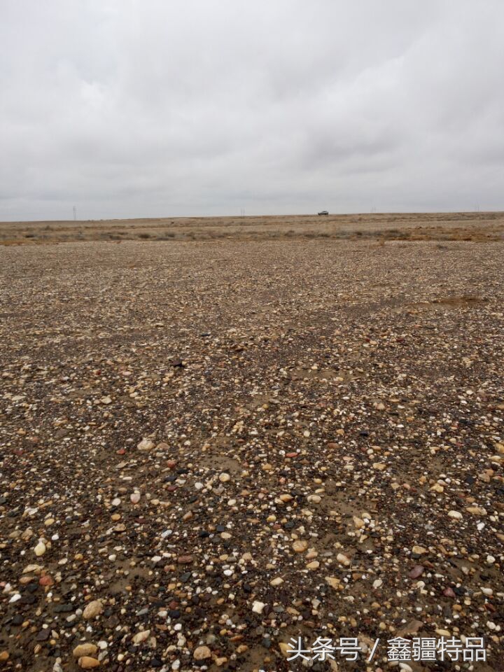 金丝玉宝石光在哪捡,捡金丝玉海蓝宝石的地方