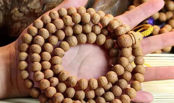 哪种凤眼菩提最好,凤眼菩提有几种