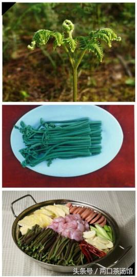 大别山深处的绝美山珍!