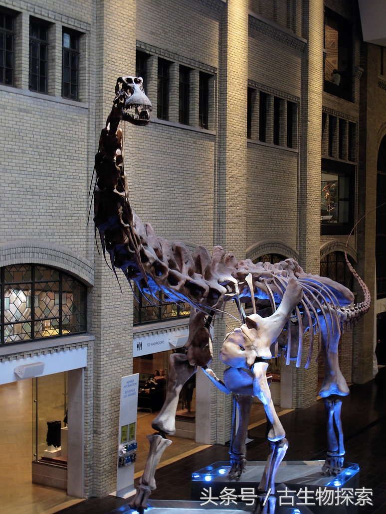 能源巨龙——富塔隆柯龙