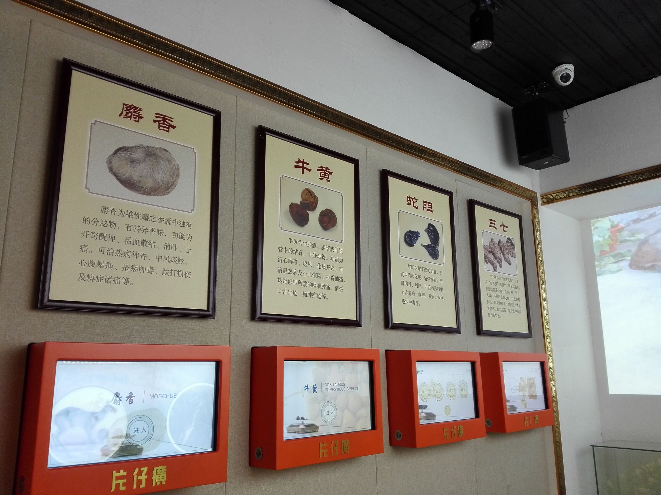 你不知道的神奇草药,你不知道的药有哪些