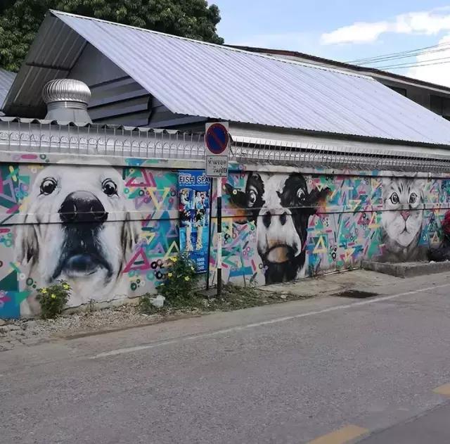 泰国清迈chiangmai古城,清迈吃喝玩乐攻略