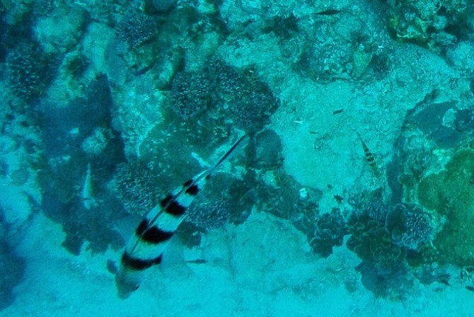 巴厘岛自由行5日游,巴厘岛天堂之旅