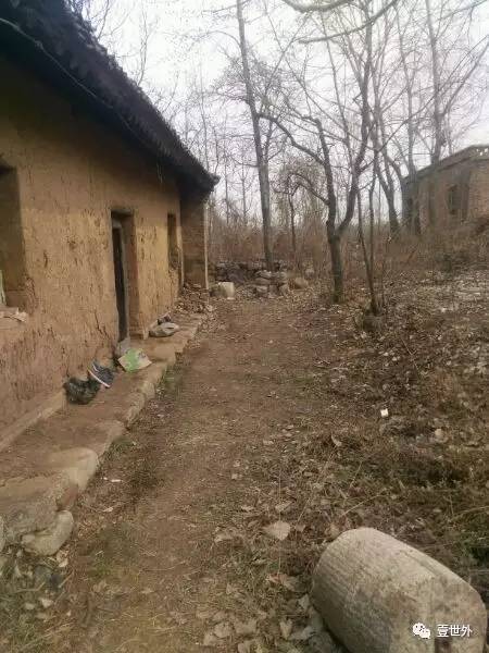 揭秘终南山隐士纪录片,探访终南山隐居的真实的生活