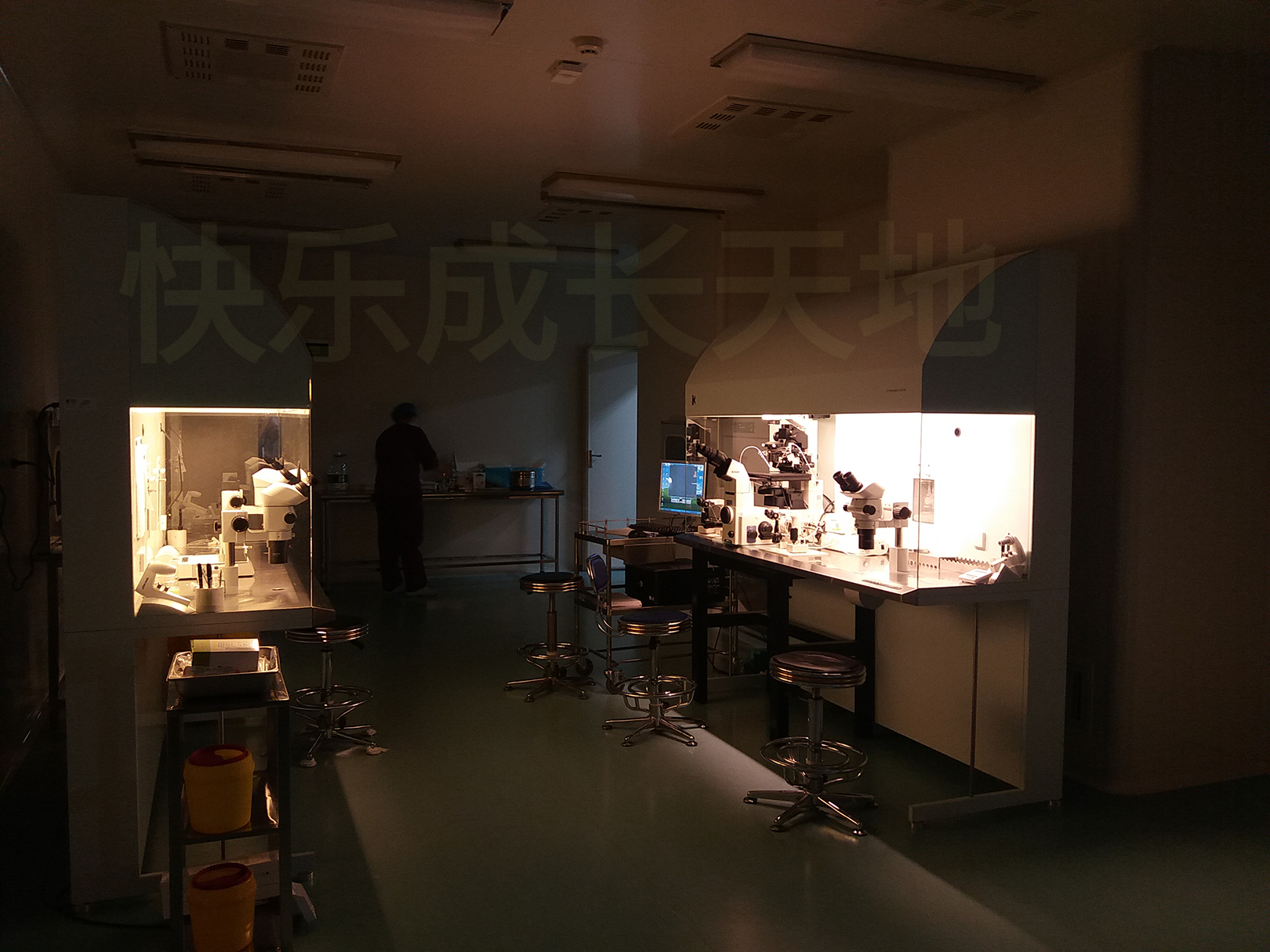 单身女性冻卵事件,单身女性冻卵违法吗