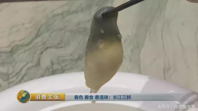 鲥鱼和刀鱼的鲜美,刀鱼鲥鱼河豚被称为长江三鲜
