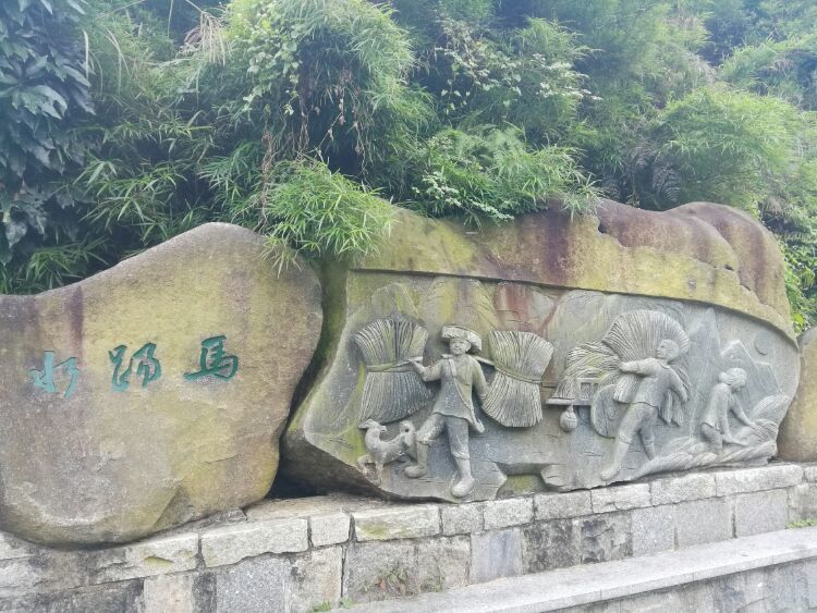 到中山的千年古刹古香林寺旧址周边山林探秘，感觉大自然太美啦