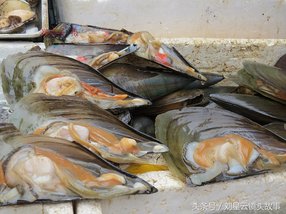 来三亚旅游想吃带壳的海鲜，不当冤大头，要有智慧善挑选和会安排