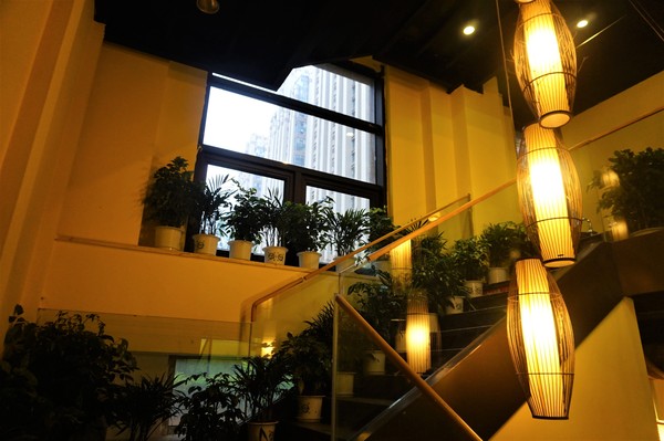 昆明是中国著名的春城,昆明是远近闻名的春城