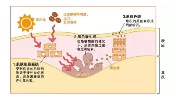 童话里的公主漂亮,童话里面的公主最好看