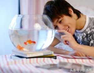 三个铠甲召唤人都怎么样了,五大铠甲勇士召唤人现在咋样了