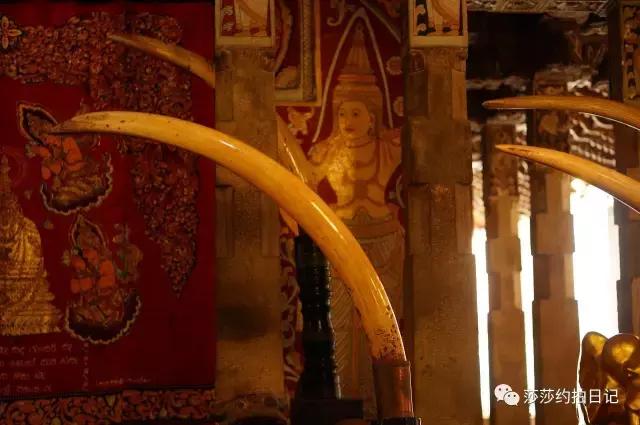 斯里兰卡旅游线路图高清,斯里兰卡自由行旅游攻略