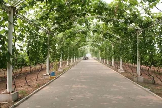 唐山国家级旅游度假区,唐山最好的旅游小镇