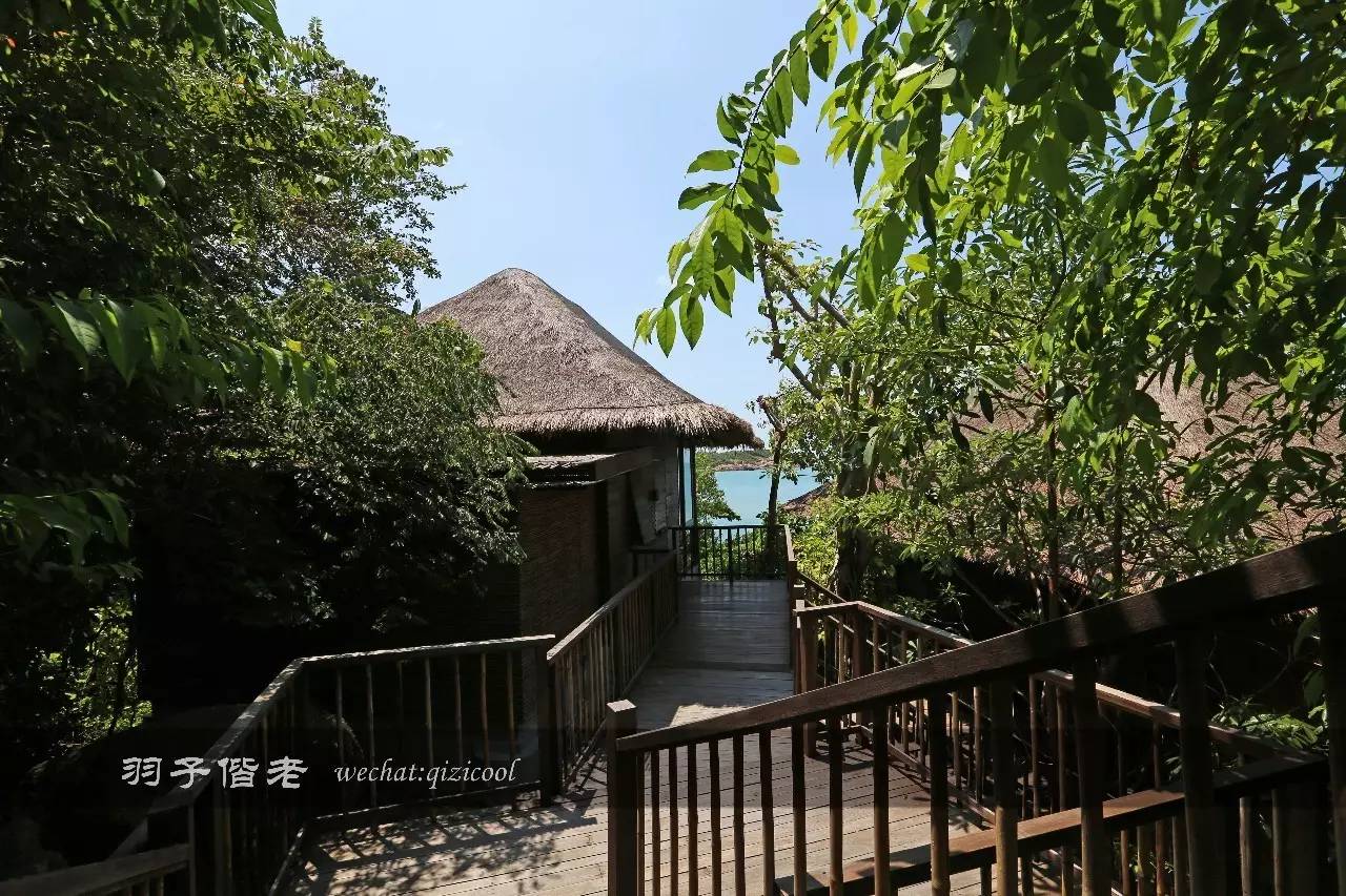 苏梅岛西方最佳度假村,苏梅岛酒店攻略