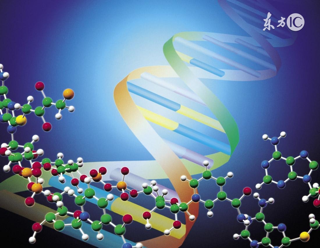 宫颈癌骨转移用靶向药物能治好吗,宫颈癌治疗靶向药物有哪些