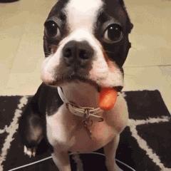 流氓会武术谁也挡不住出处,流氓会武术谁也挡不住