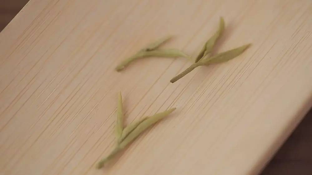 云南碧螺春和苏州碧螺春的区别,苏州哪里可以买到真正碧螺春