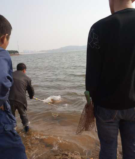 鱼拓手竿,钓巨型鱼手竿