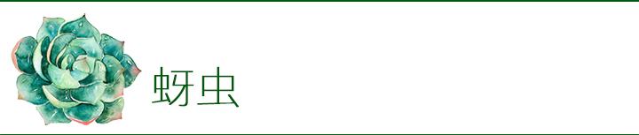 多肉植物如何防治病害,多肉植物病害处理视频