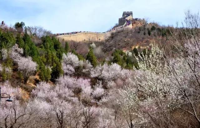 四月白菜价机票全在这了！从长春出发，最低只要129元！