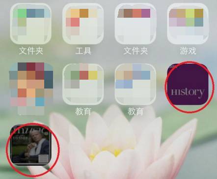 手机卸不掉软件怎么办,手机软件卸不掉怎么强行清除