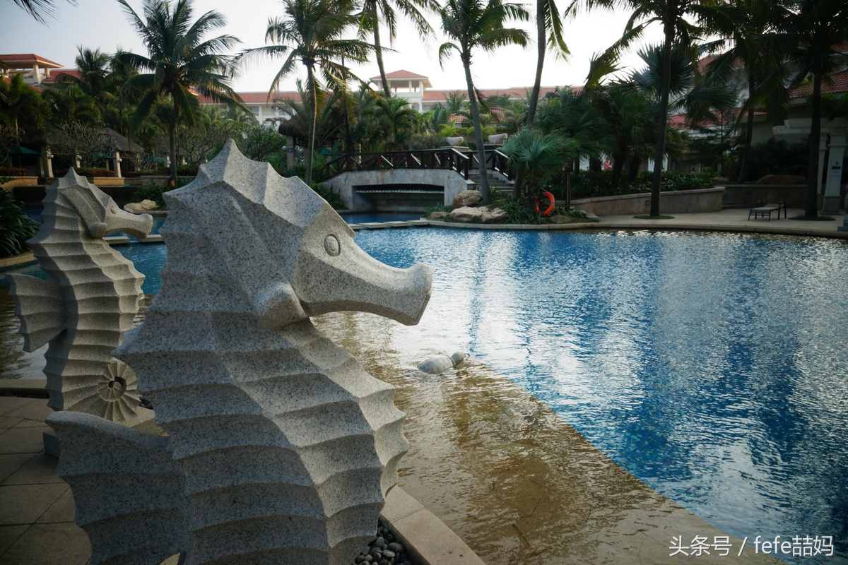 海口旅游高端度假酒店攻略,五一度假推荐海口附近