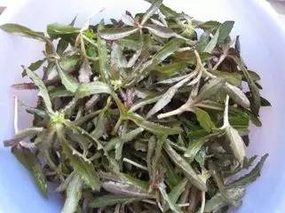 鲅鱼圈附近哪里可以挖野菜,盖州鲅鱼圈挖野菜