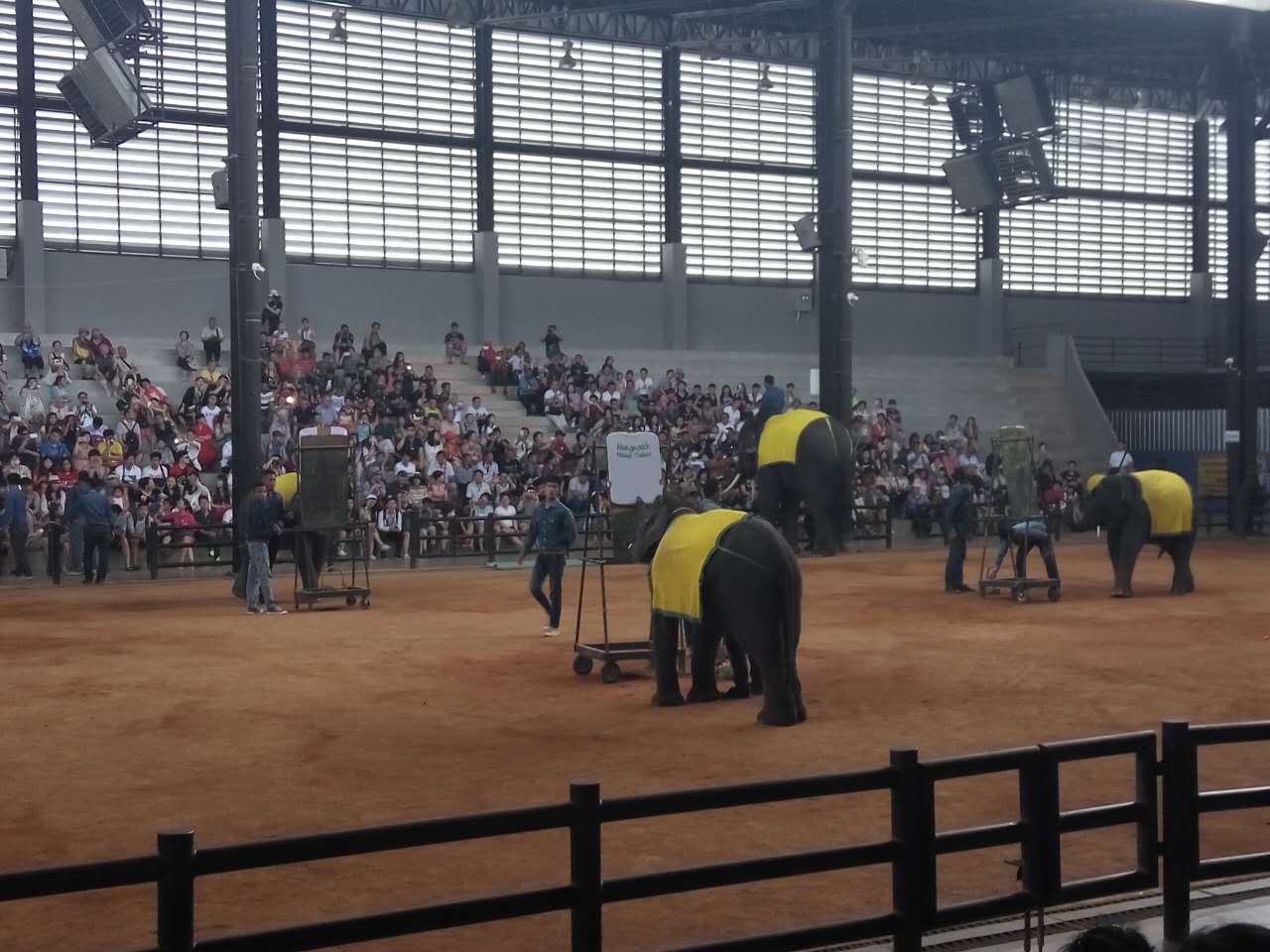 芭提雅旅游攻略自由行,芭提雅玩乐全攻略
