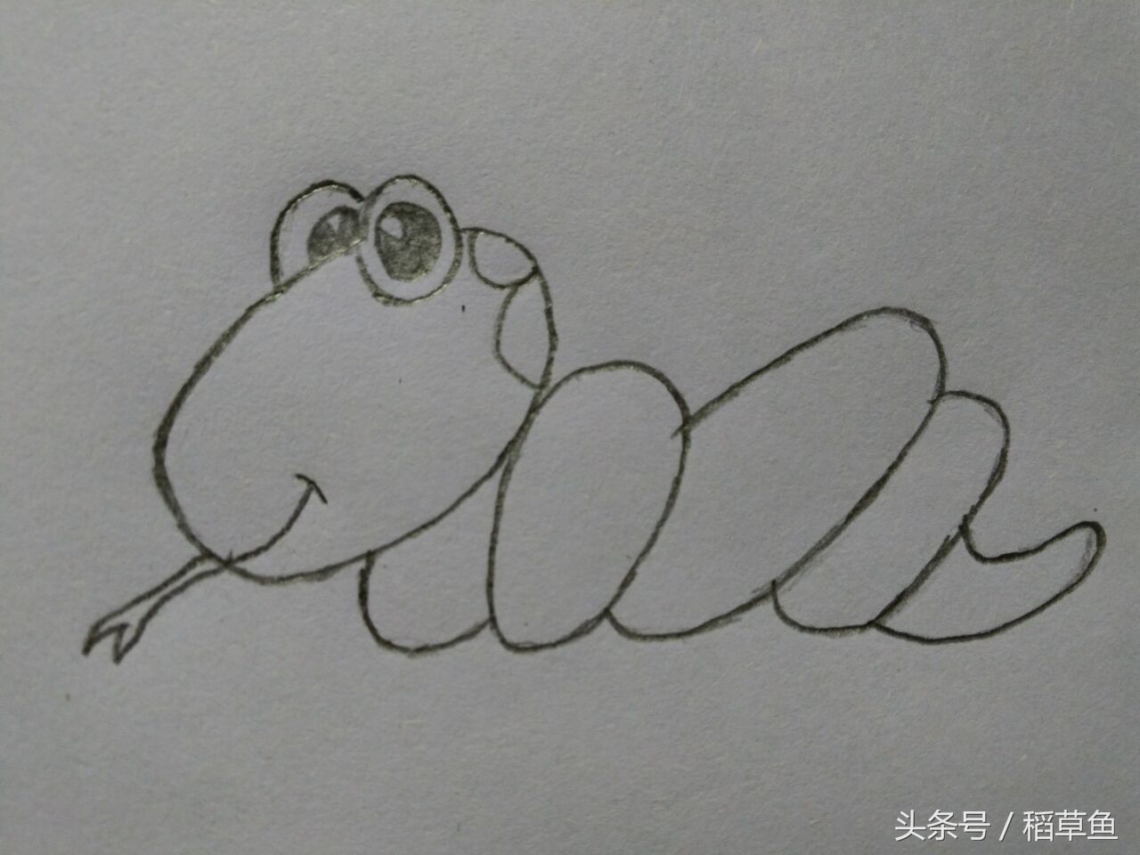 12生肖完整图片马的简笔画,12生肖中的狗简笔画怎么画