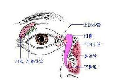 新生儿泪道阻塞有哪些症状,新生儿泪道堵塞是什么表现