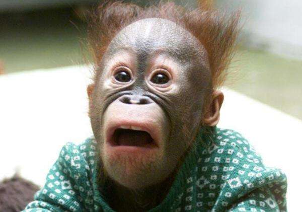 游戏测试试玩员,游戏测试员需要学什么技术