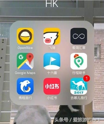 香港旅游攻略必去十大景点,香港西九龙下车后旅游攻略