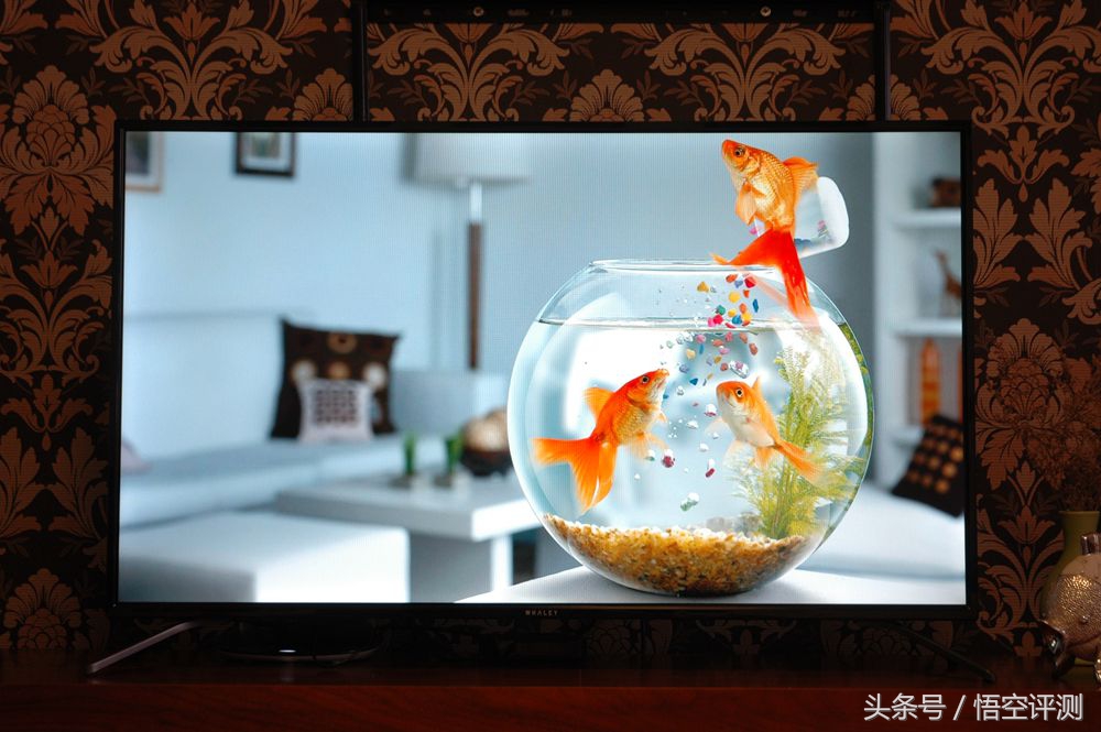 微鲸42寸电视,微鲸电视55英寸