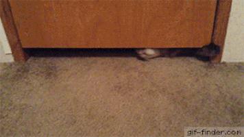 情侣小游戏恐怖版,情侣之间千万不能玩的小游戏