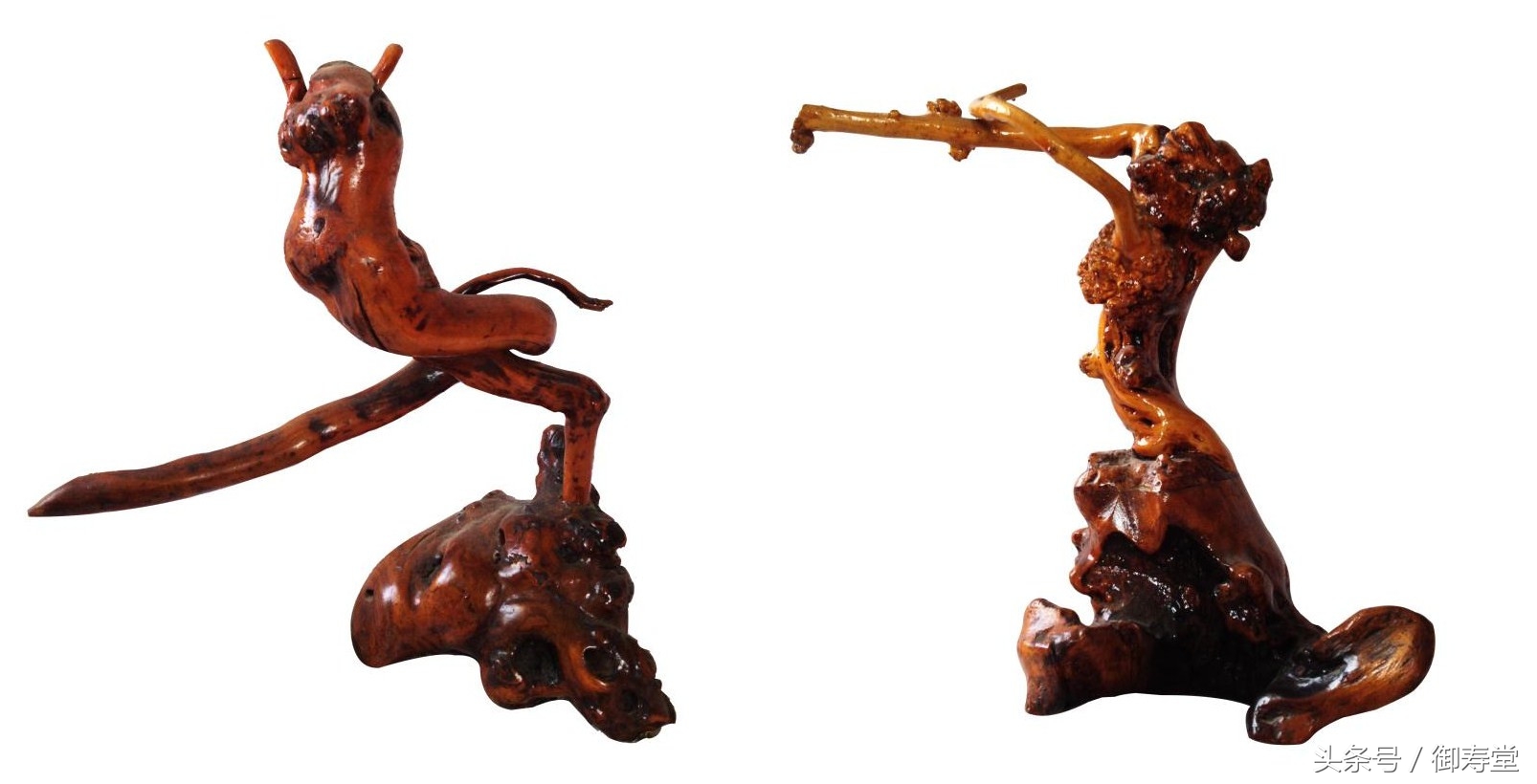 根雕树根多少钱,根雕大师极品树根