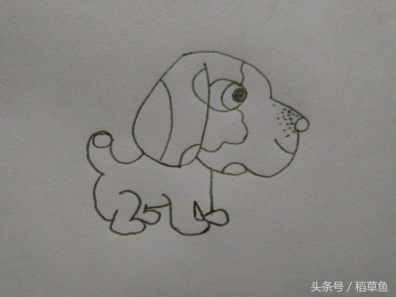 12生肖完整图片马的简笔画,12生肖中的狗简笔画怎么画