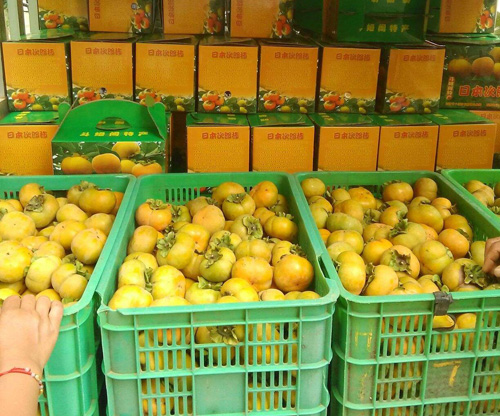 想在农村创业有没有什么好的项目,农村创业5个好项目