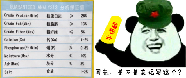 猫奴吐槽完整版,吐槽猫奴的视频