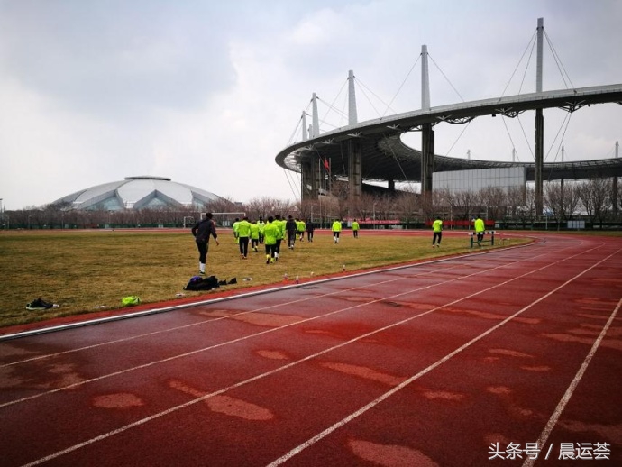 雪豹返回南京,雪豹大结局归家