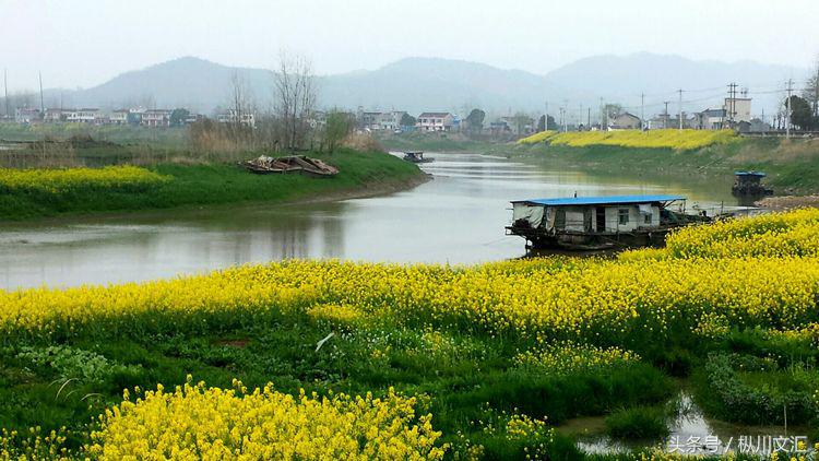 鏋炲窛灞辨按,鏋炲窛