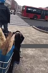 十个笑话15字,十个笑话方言