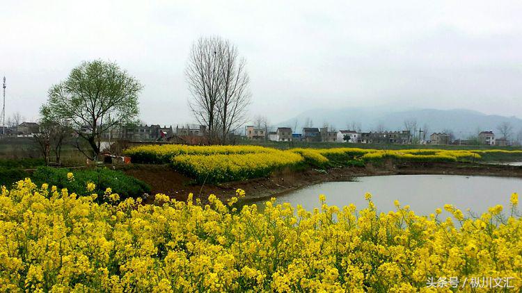 鏋炲窛灞辨按,鏋炲窛