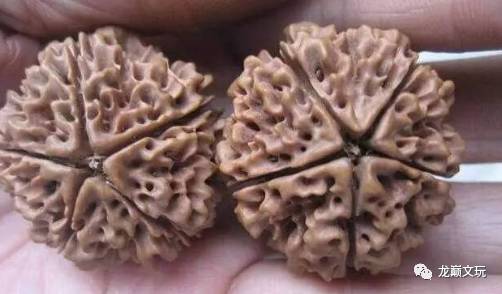 爆肉金刚咋看真假,金刚1024正品和仿品